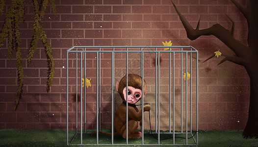 关在笼子里的猴子图片