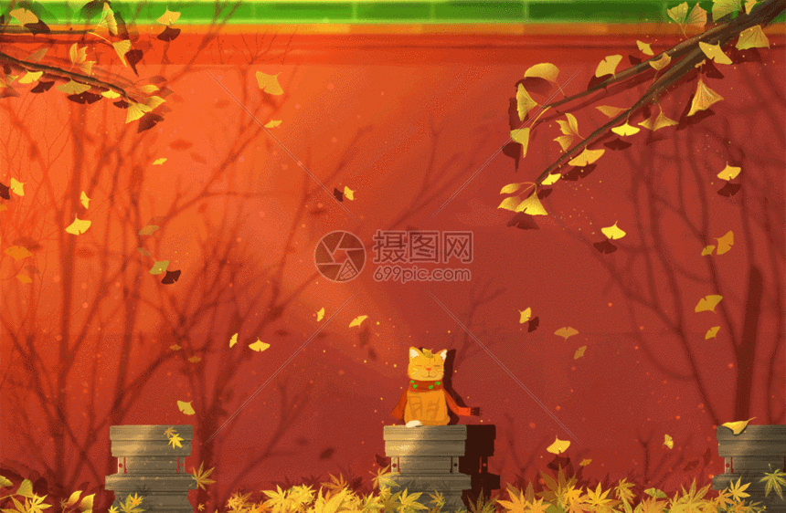 秋分时节阳光下的猫gif动图图片