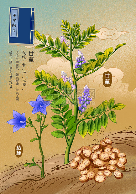本草纲目中草药甘草