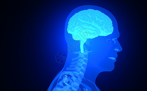 人体大脑X光背景图片