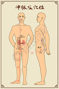 冲脉及穴位背景图片
