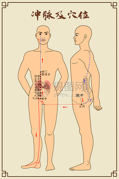 冲脉及穴位图片