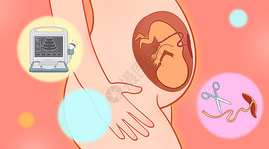 女性孕期医疗健康卡通插画图片
