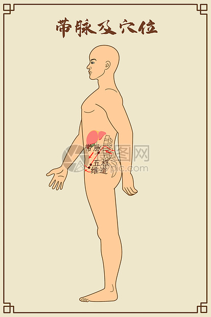 带脉及穴位中医经络图图片