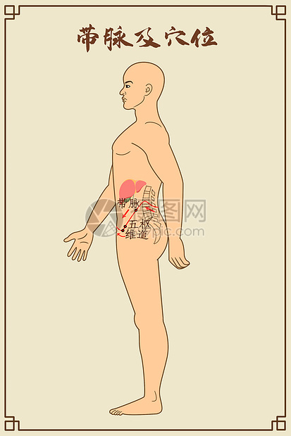 带脉及穴位中医经络图图片