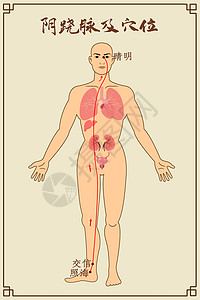 经络养生阴跷脉及穴位中医经络图插画