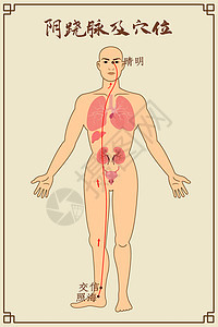 阴跷脉及穴位中医经络图图片