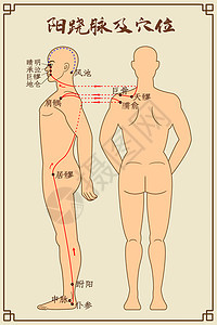 阳跷脉及穴位中医经络图图片