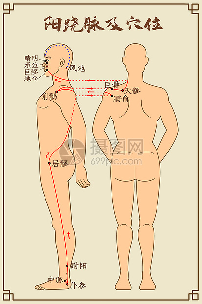 阳跷脉及穴位中医经络图图片