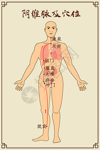 阴维脉及穴位中医经络图图片