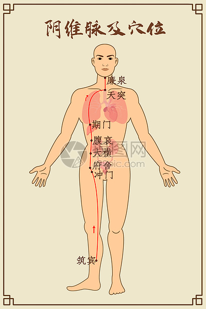 阴维脉及穴位中医经络图图片