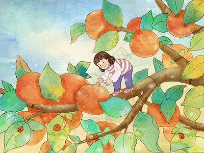 金秋十月硕果累累小女孩摘柿子背景图片
