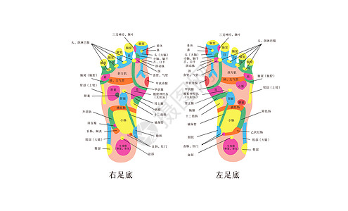 中医足部经脉反射对照图高清图片