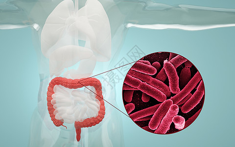 肠道消化人体肠道感染设计图片