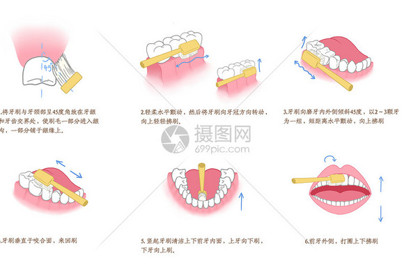 口腔医学插图高清图库