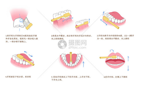 刷牙方式科普插画图片