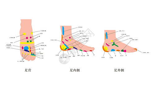 中医足部经脉反射对照图高清图片