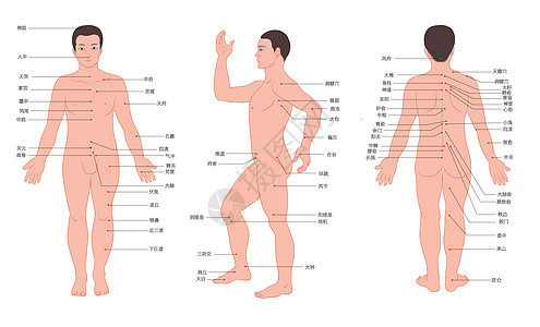 经络减肥男人人体经络穴位走向图插画