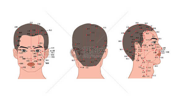 人体头部经络穴位图图片