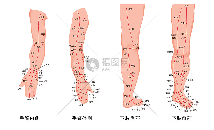 人体手与脚经络穴位图图片