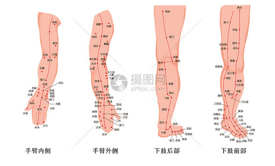 人体手与脚经络穴位图图片