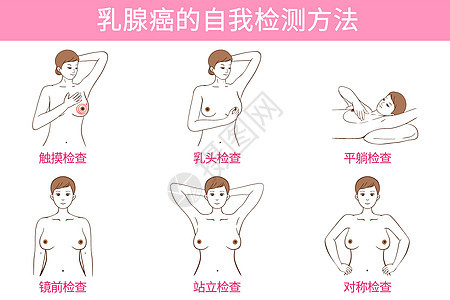 乳腺癌自检方法医疗插画图片