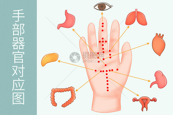 中医穴位手部器官对应图医疗插画图片