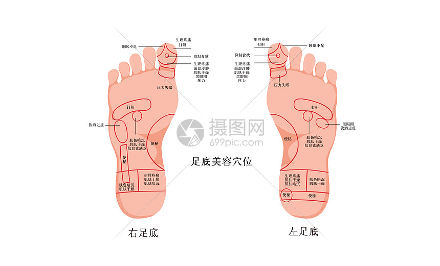 足底美容穴位图插画图片下载 正版图片 摄图网