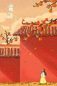 霜降柿子树和红墙节气插画图片