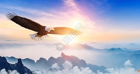 雄鹰展翅企业文化背景设计图片