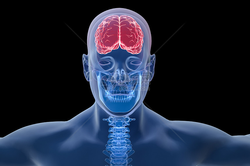 C4D人体大脑场景图片
