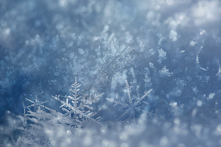 冬天背景图片