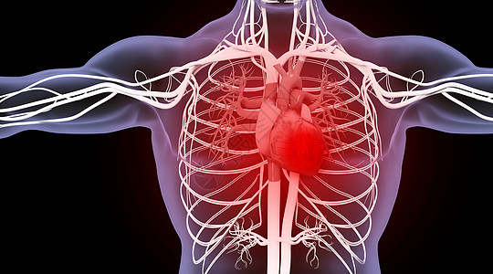 心脏模型人体冠心病场景设计图片