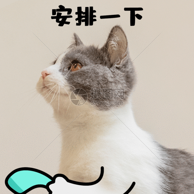 安排一下打电话打call猫咪萌宠gif