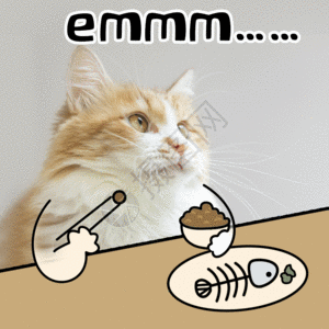 emmm无语无言沉默猫咪宠物GIF图片