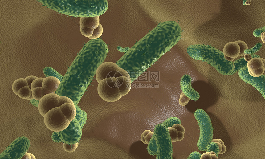 细菌场景图片