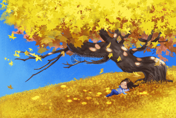 深秋的落叶GIF图片