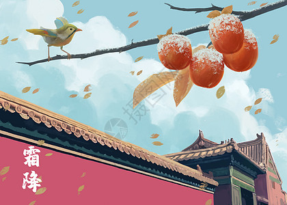 霜降故宫枝头的柿子和小鸟节气插画图片