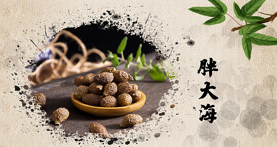 胖大海图片素材 正版创意图片 摄图网