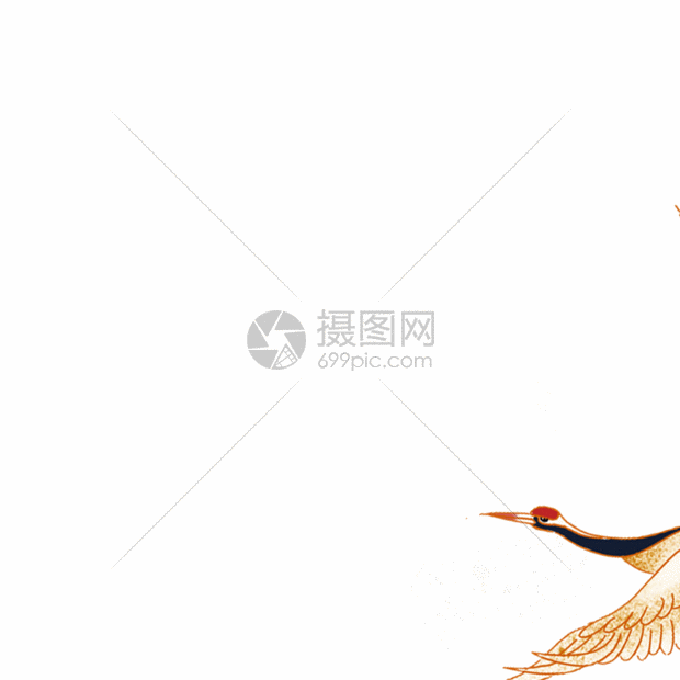 飞翔的仙鹤gif