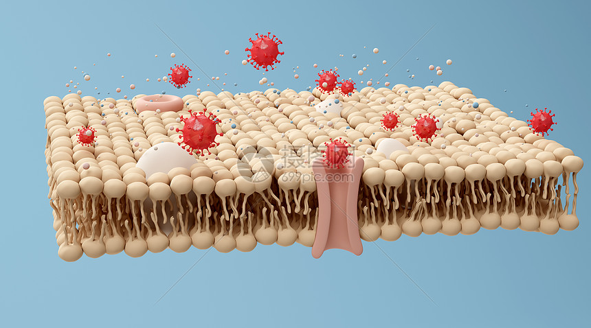 3D脂肪蛋白质细菌场景图片