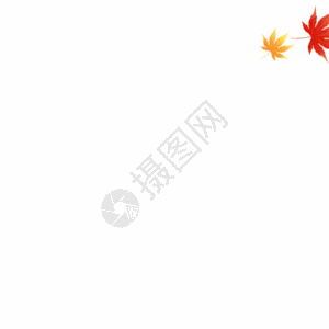 红色枫叶落叶GIF图片