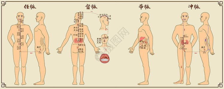 奇经八脉中医经络图一图片