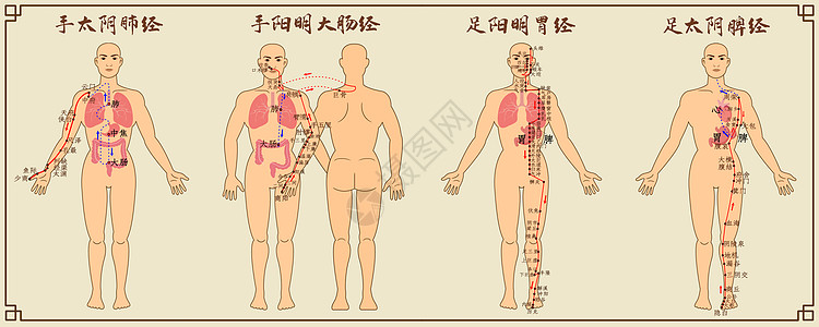 一候十二经脉中医经络图一插画