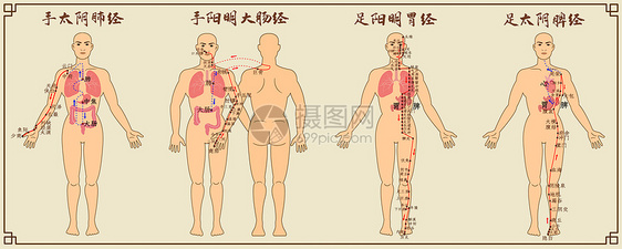 十二经脉中医经络图一图片