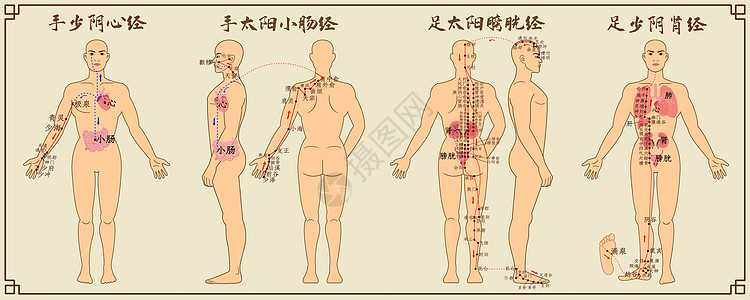 十二经脉中医经络图二图片