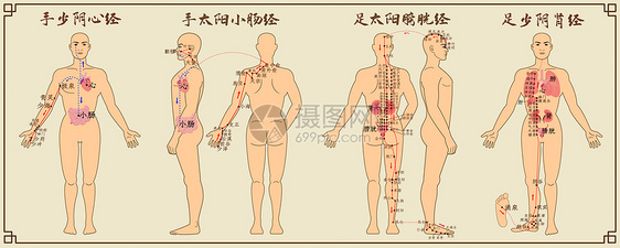 十二经脉中医经络图二图片