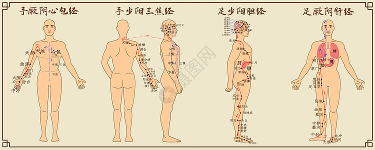 十二经脉中医经络图三高清图片