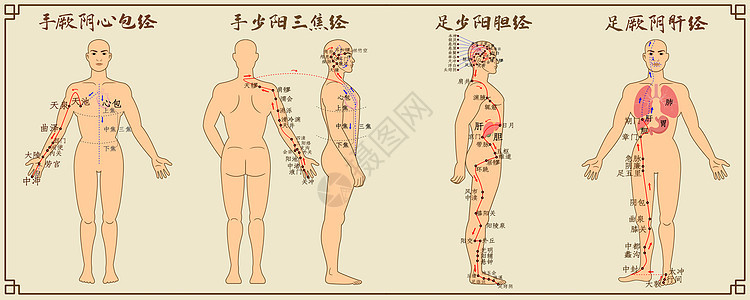 十二经脉中医经络图三背景图片