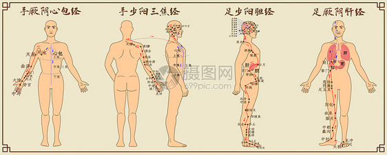 十二经脉中医经络图三图片